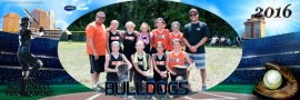 Bulldogs 2